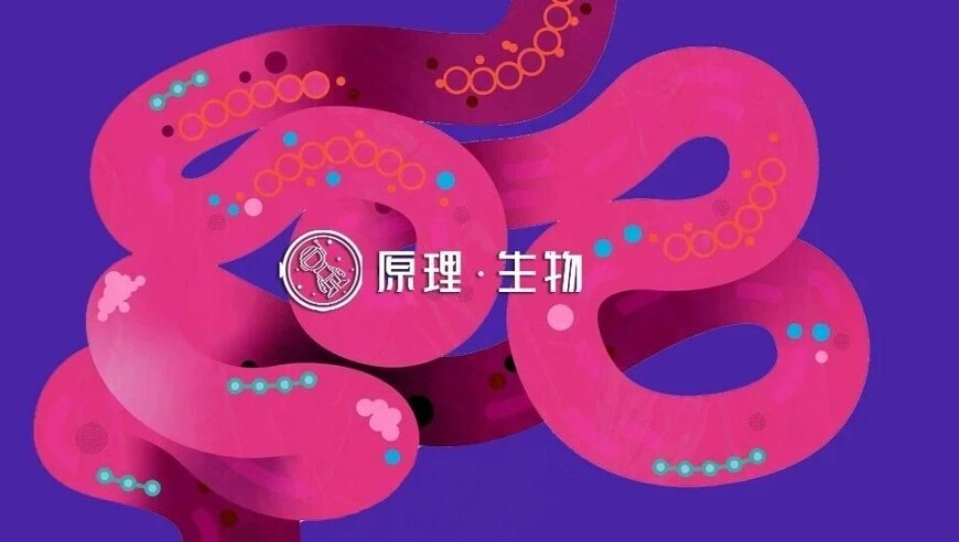 2025澳門精準(zhǔn)四不像資料,周云杰回應(yīng)網(wǎng)友修復(fù)海爾兄弟,廣泛的解釋落實(shí)方法分析_iPadV13.90