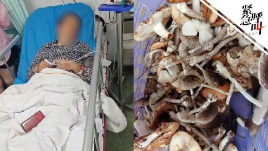 55萬張他人照片花錢隨便下載,新澳門2025年資料版本,決策資料解釋落實(shí)_破例版V2.72